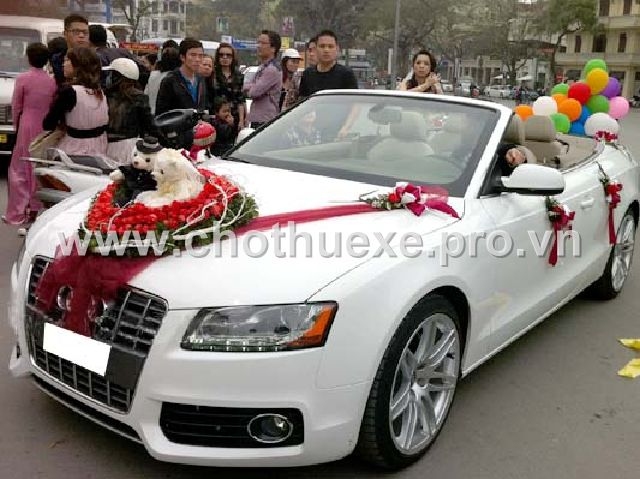 Cho thuê xe cưới màu trắng Audi A5